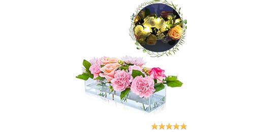 Best deals for everyday items at special prices daily